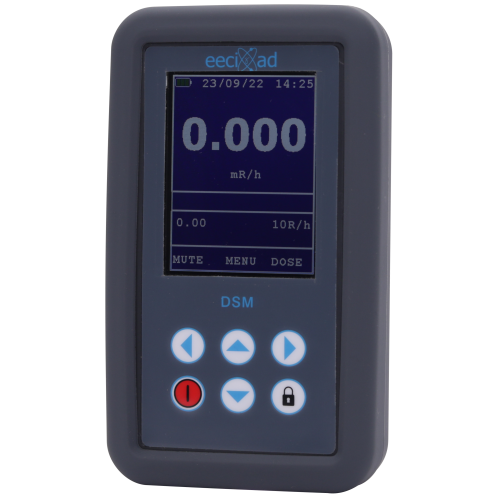 DSM10E Survey meter